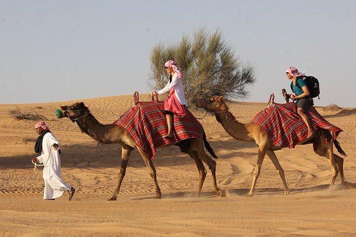 Desert Safari Tour, 6 Hour Fun, Family & Friends, Camel Ride & Dinner Included.