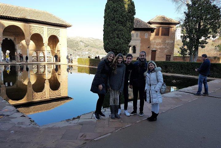 Alhambra Highlights Private Tour with Nazaries Palaces 