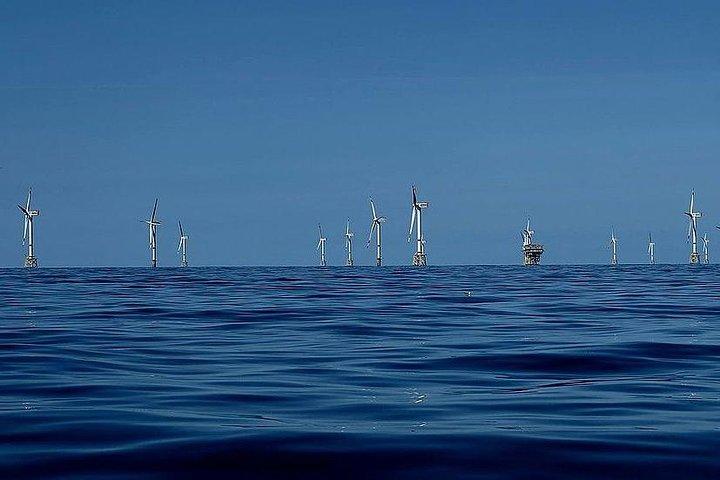 Unforgettable sea trip to the wind farms in the North Sea