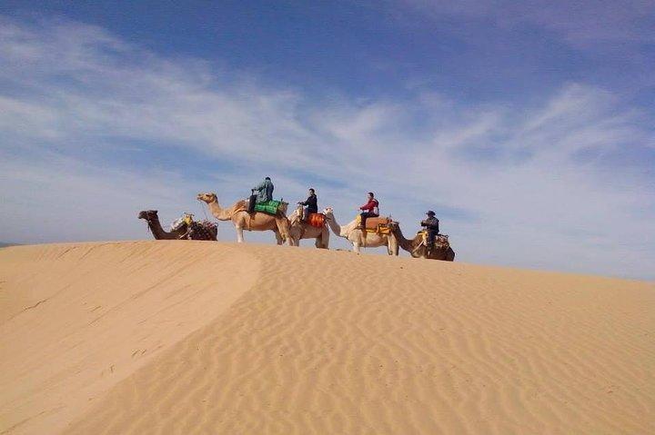 3 hours Camel Ride in Essaouira with Dinner and Overnight in Berber Camp