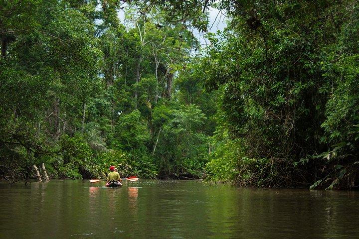 5-Day All Inclusive Cuyabeno Amazon Adventure with Accommodation in Eco Lodge
