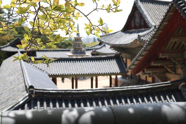 Gyeongju The UNESCO World heritage sites tour(Private tour)
