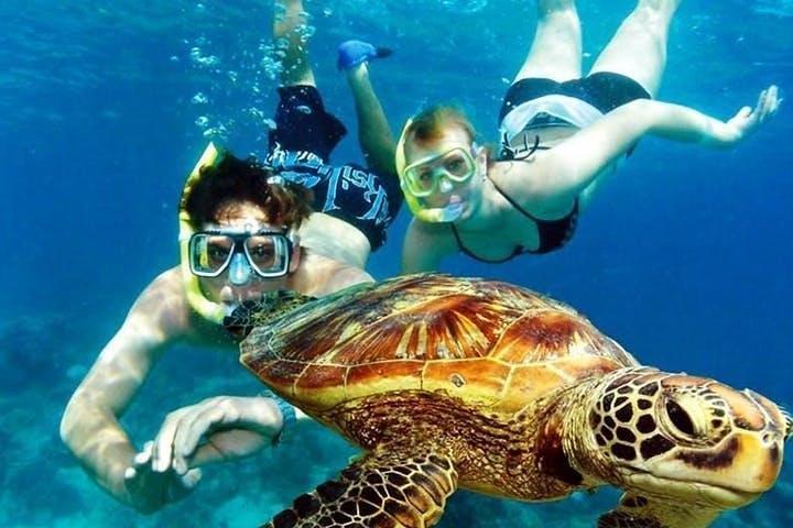 Guided Coral Reef Snorkeling Tour