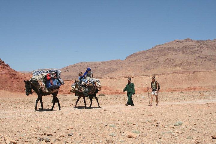3 day nomadic hiking adventure Todra Gorge to Dades - Aventures Verticales Maroc