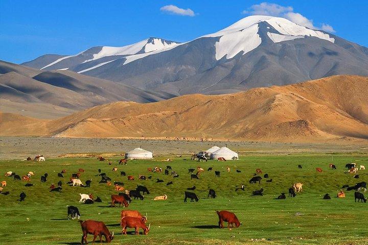 Best of Mongolian tour 7 days 