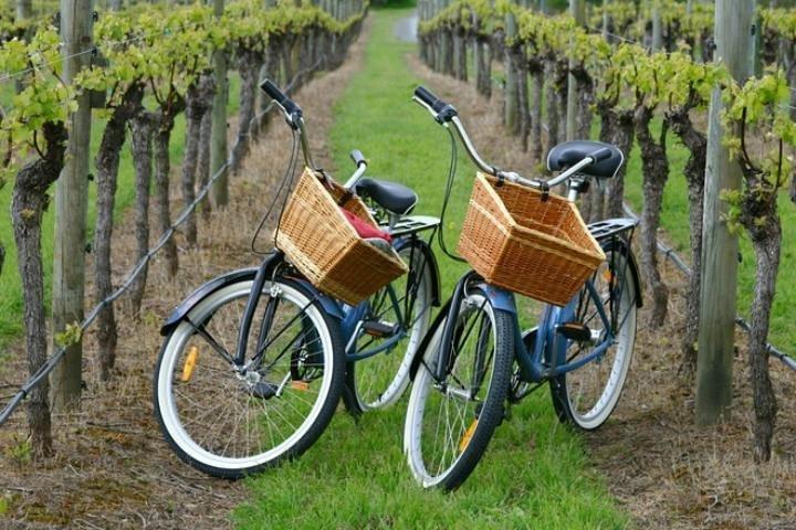 Mattituck New York Guided Farm and Wine Country Bike Tour