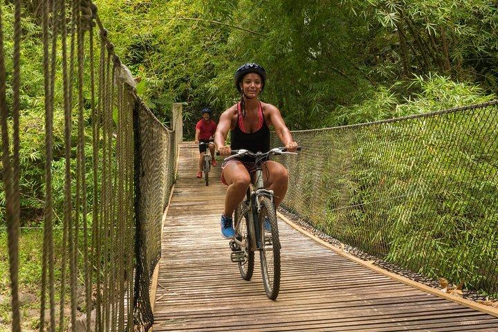 Rainforest Cycling Adventure in St. Lucia