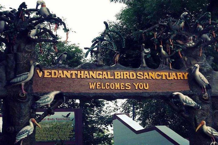 Visit to Vedanthangal Bird Sanctuary from Chennai