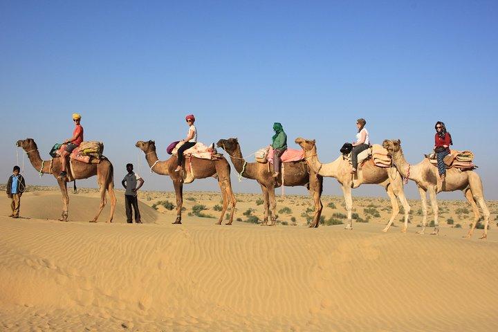 2 Days and 1 Night Camel Safari