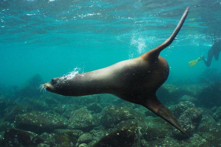 12-Day Galapagos Superior Adventure (Tourist Class)