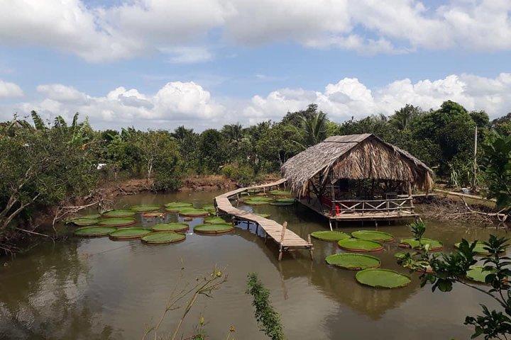 Full-day Cai Rang floating market - explore countryside, make bakery - from HCM