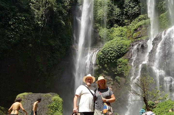 Jatiluwih rice terraces,ulundanu and sekumpul waterfall trips