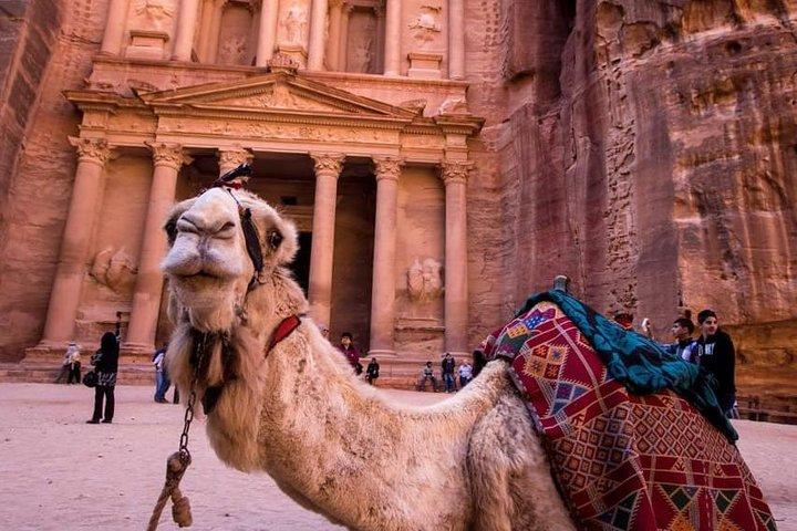 Petra & Wadi Rum - One day tour