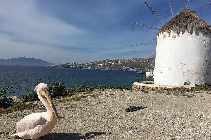 Private Tour: Mykonos Island in Half a Day