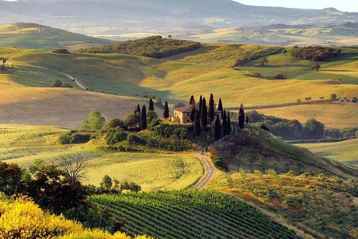Montalcino and Montepulciano Wine Tour from Siena