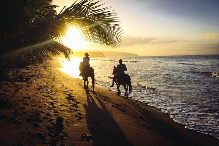 Sunset Horseback Riding Tour from Punta Cana