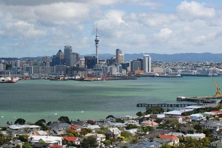 Private Tour: Auckland City and Countryside Tour
