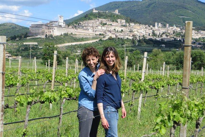 Wine tasting and walk in the Vineyard of Assisi