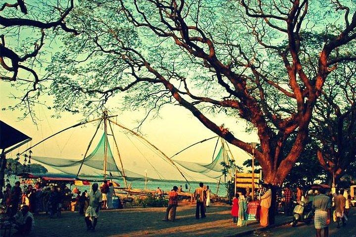 Cochin City or Backwater Shore Excursions from Cruise Terminal