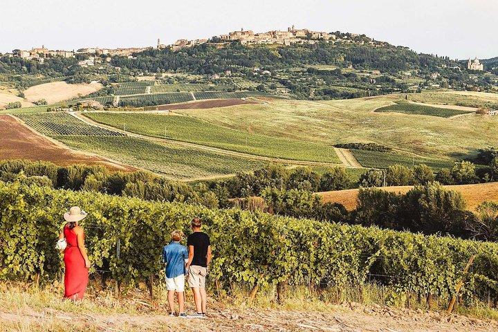 Vino Nobile di Montepulciano Wine Tour - Meet the producers