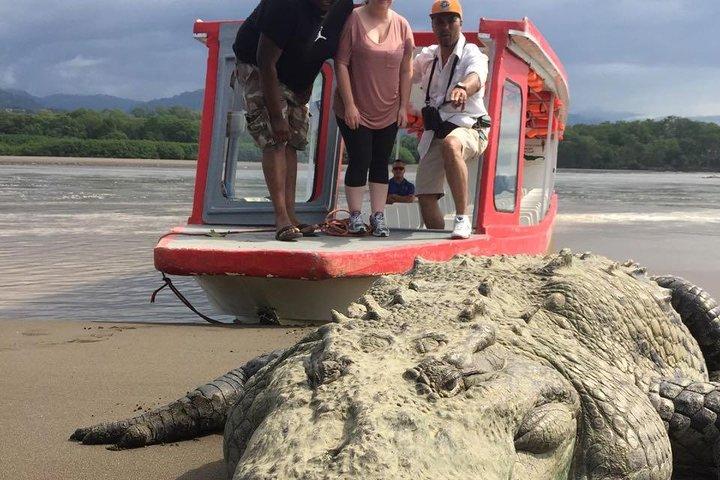 Crocodile Man Tour THE ORIGINAL
