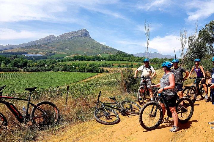 E-Bike Stellenbosch to Franschhoek
