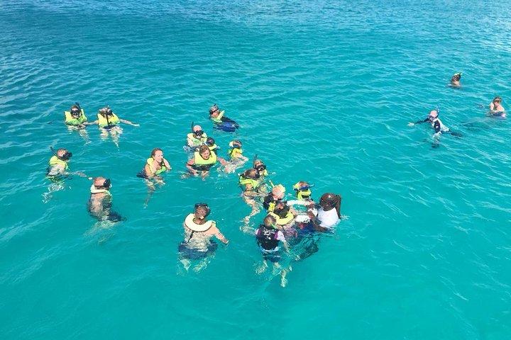 Barbados Turtle and Shipwreck Snorkel Adventure