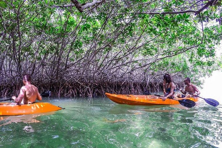 Clearbottom Mangrove Kayak & Snorkel tour