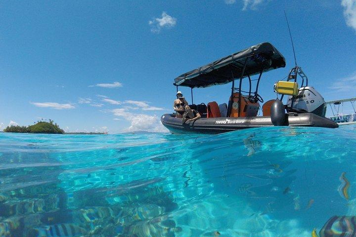 Tohora Bora Bora Snorkeling Lagoon Tours
