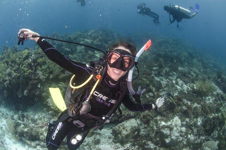 Discover scuba ,MUSA and Manchones reef dive without license 