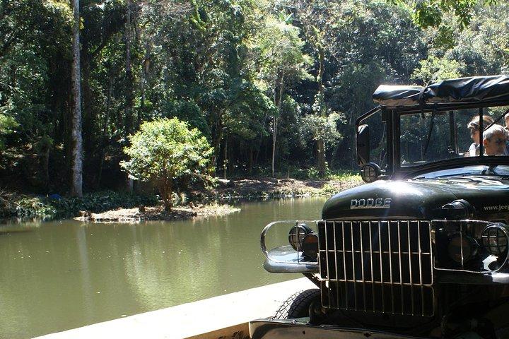 Guided Jeep adventure through Tijuca Rain Forest