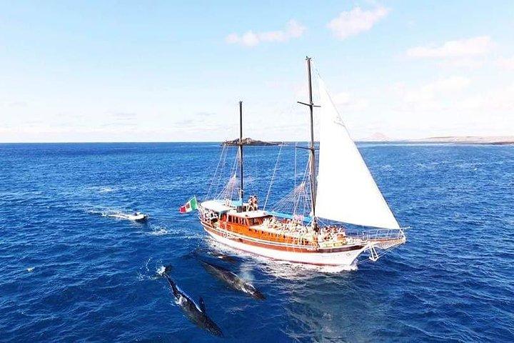 Whale Watching Deluxe - Gelidonya 