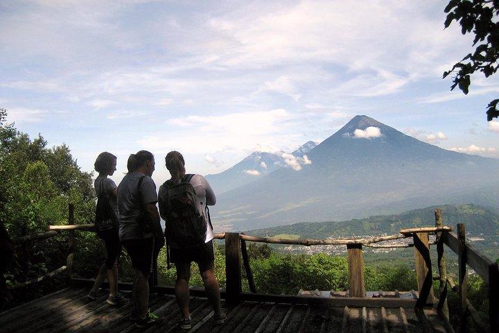 Day Tour to Pacaya Volcano from Antigua Guatemala on Private Vehicle