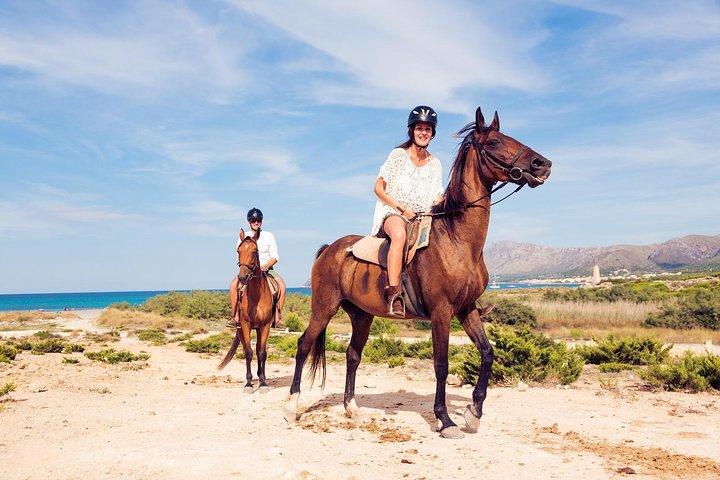 Horse Riding Morning Ride in Paros