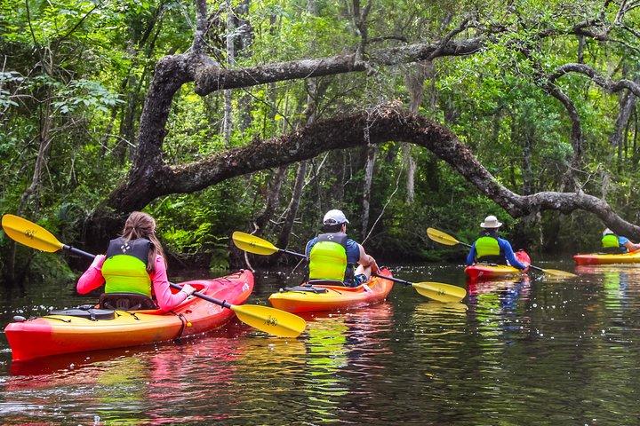 Amelia Island Guided Kayak Tour of Lofton Creek 