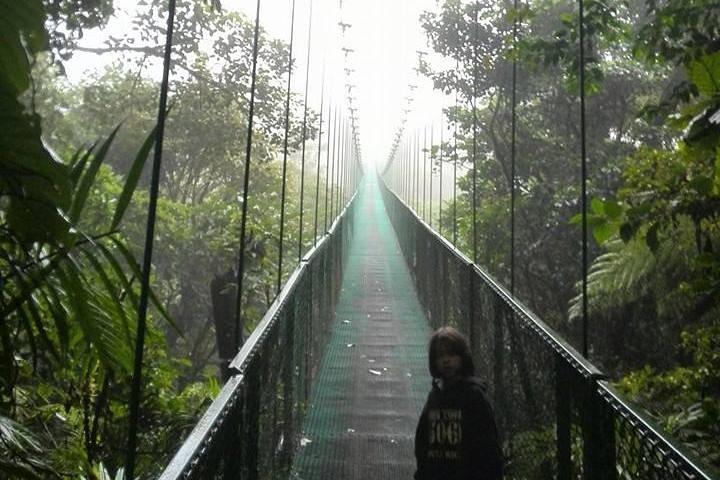  Cloud Forest hanging bridges with a local naturalist tour guide