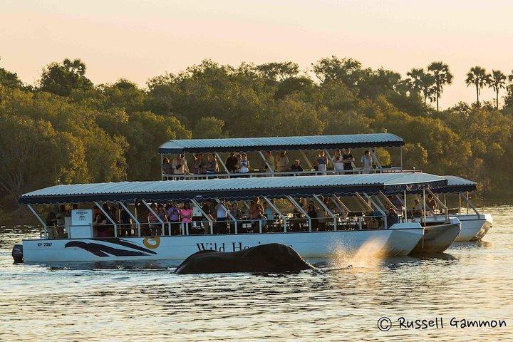 Sundowner Cruise on Zambezi River (Zimbabwe)