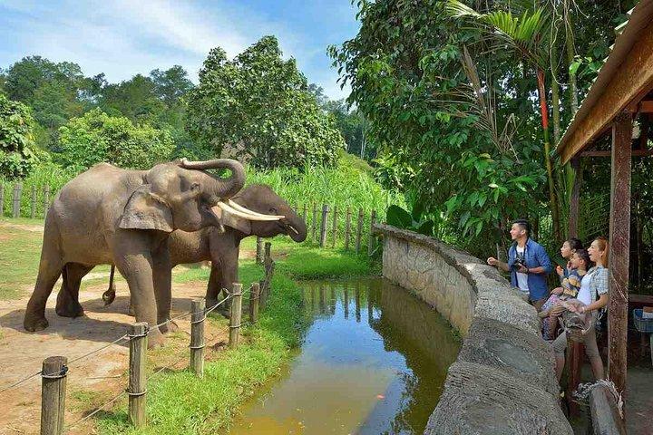 Lok Kawi Wildlife Park Tour From Kota Kinabalu
