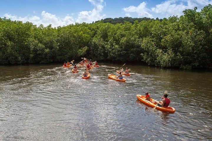 SoCoHo Half Day - Mangrove Kayak & Reef Snorkeling