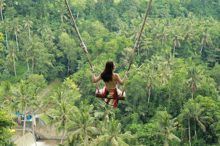 Ubud Private Tours with Jungle Swing Experience - all inclusive