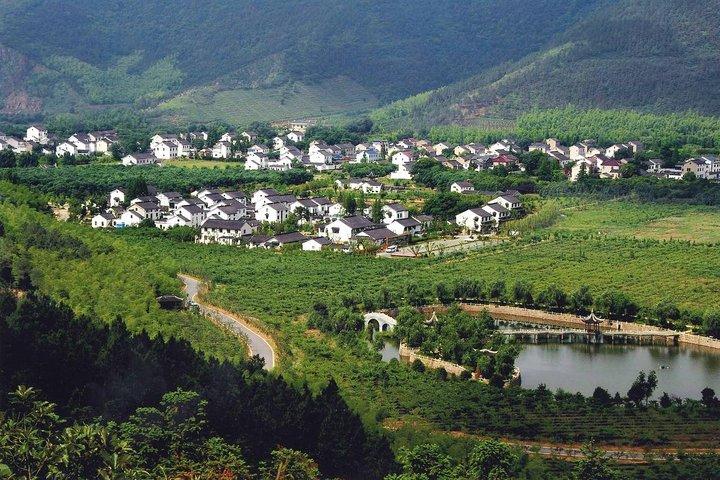 Suzhou Eco Village Private Day Tour with Lunch and Fruit Picking Option