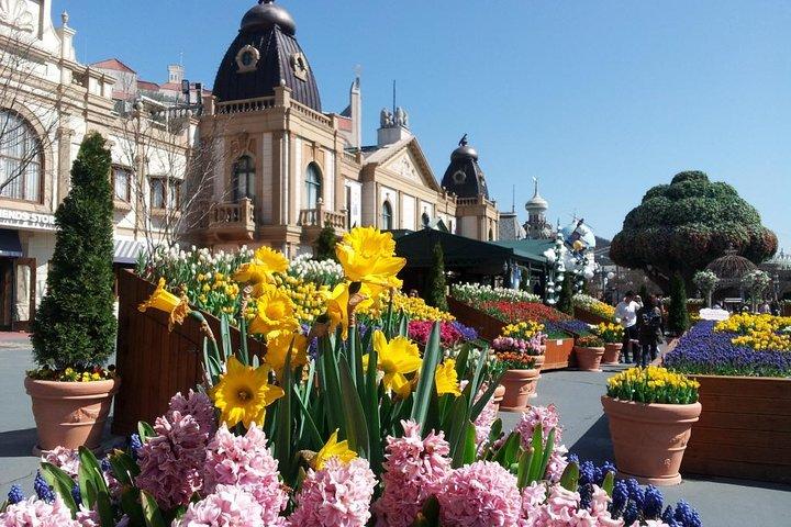 EVERLAND "From Hotel to Hotel" [Premium Private Tour: Only One Group for You]