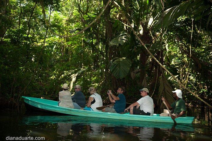Canoe Tour at Tortuguero National Park