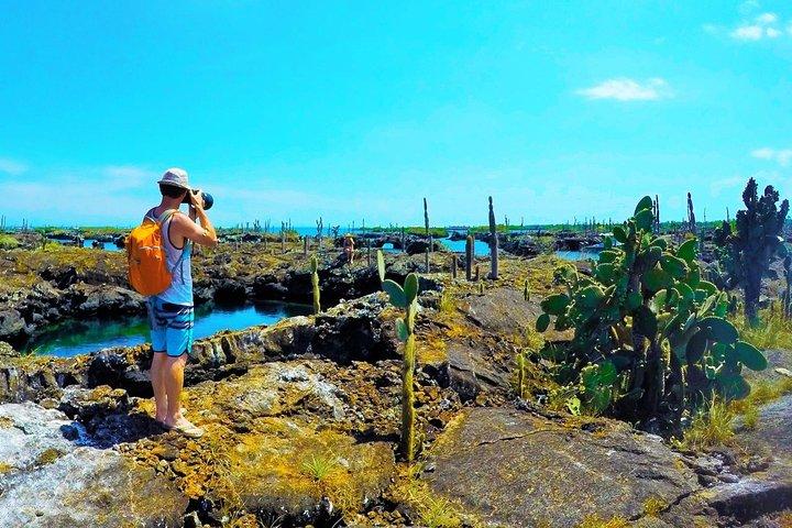 6-Day Galapagos Island Hopping Tour: Santa Fe, Santa Cruz and Los Tuneles