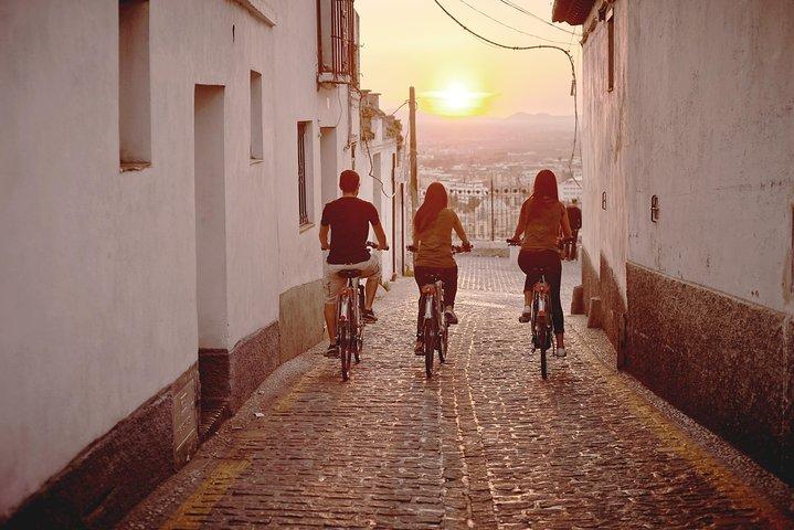 Zooming Through Granada: A Fun-Filled Electric Bike Tour