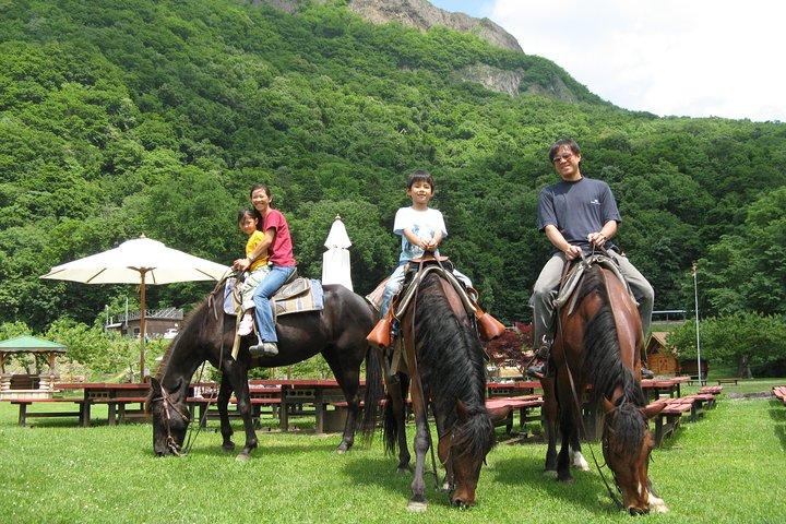 Horseback-Riding in a Country Side in Sapporo - Private Transfer is Included