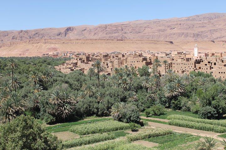 Private Around trip to Todgha Gorge from Ouarzazate