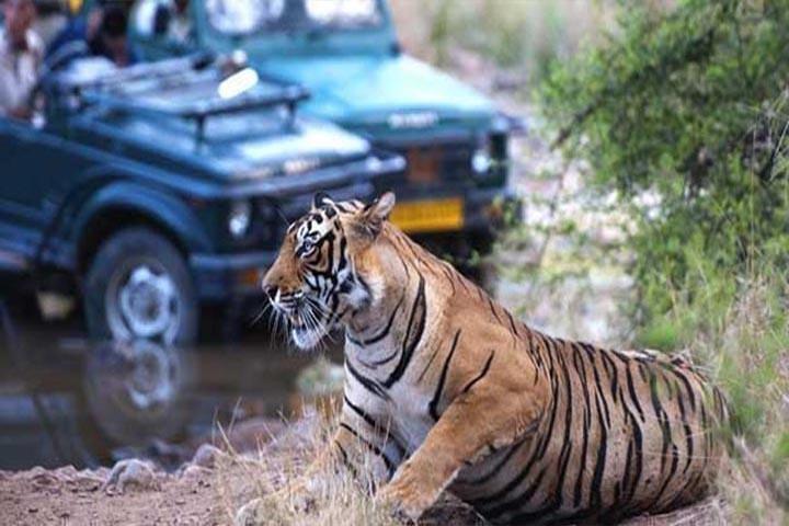 Golden Triangle Tour With Tiger Safari at Ranthambore 7 days 