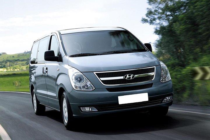 PRIVATE Minivan & Driver (up to 9 passengers)