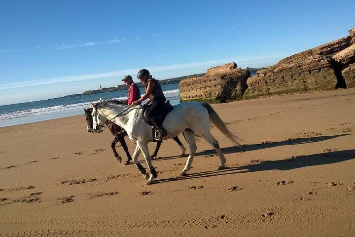 2 hours horse ride beach and dunes in Essaouira Morocco